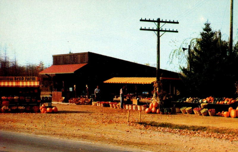 Willow Bend Antiques & Estate (Willow Bend Farm) - Vintage Postcard